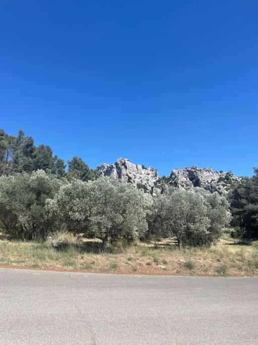 "Lou Mes" Les Baux Balconアパートメント エクステリア 写真